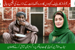 Punjab Includes Flood Victims in Apni Chhat Apna Ghar Scheme